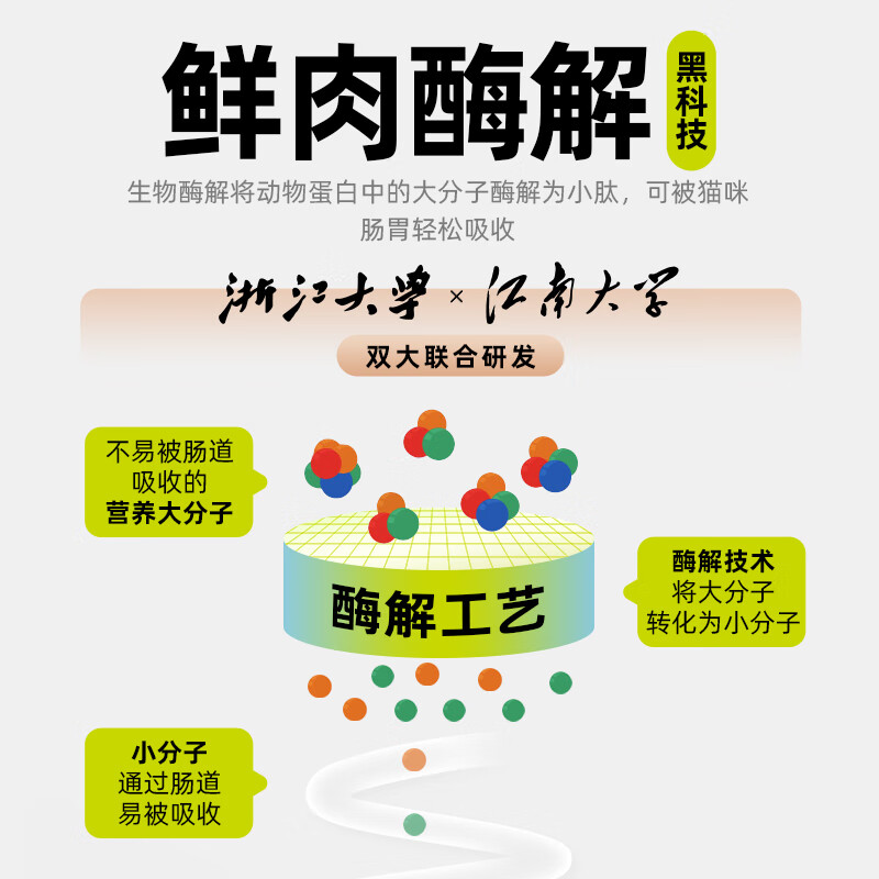 高防云服务器：保护您业务的安全盾牌